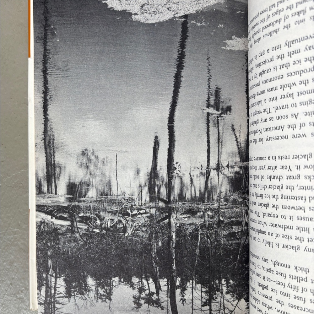 Signed 1963 The Valley Meadow Grove Stream Durham NH Oyster River New Hampshire - Picture 6 of 13